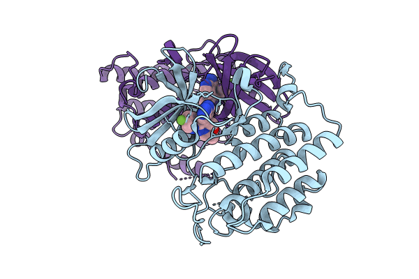 8VXF image