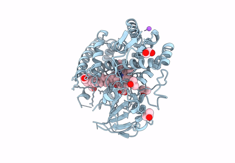 8VXG image