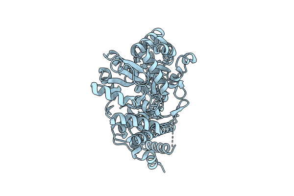 8VXN image