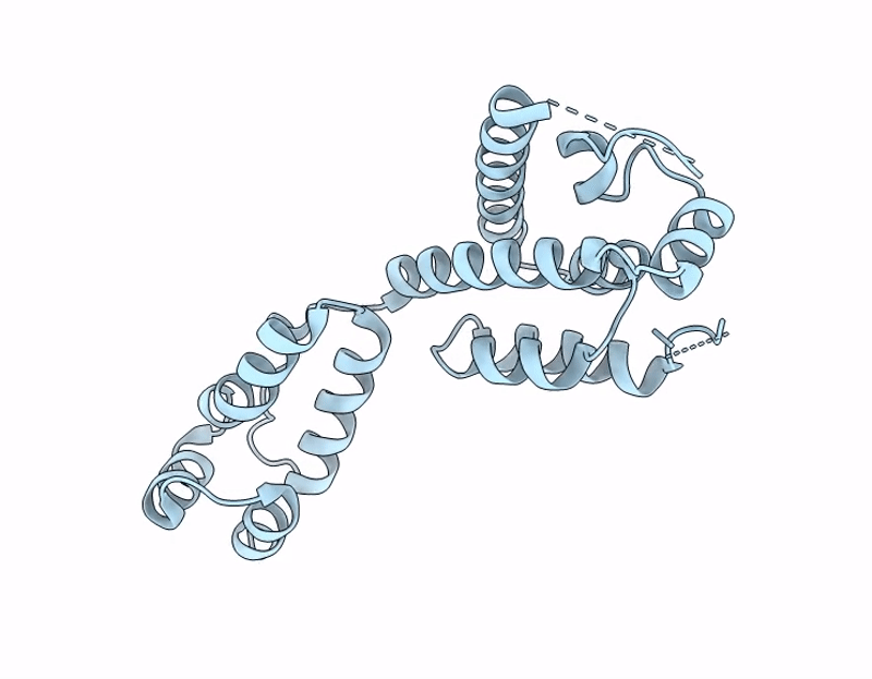 8VXV image