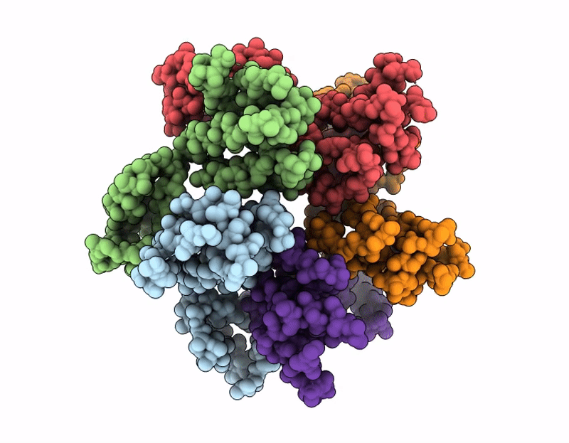 8VXW image