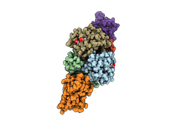8VYL image