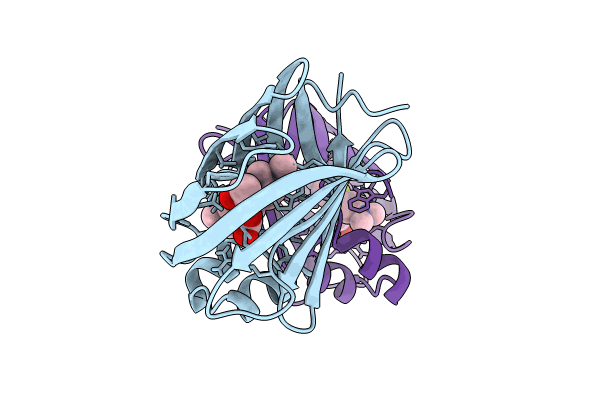 8VZZ image