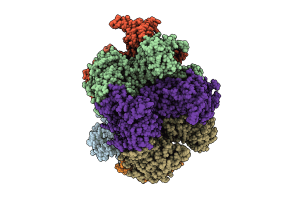 8W0I image