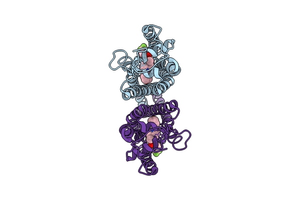 8W0S image