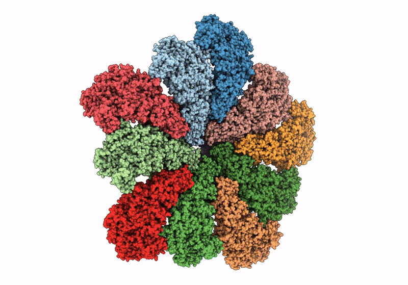 8W1C image