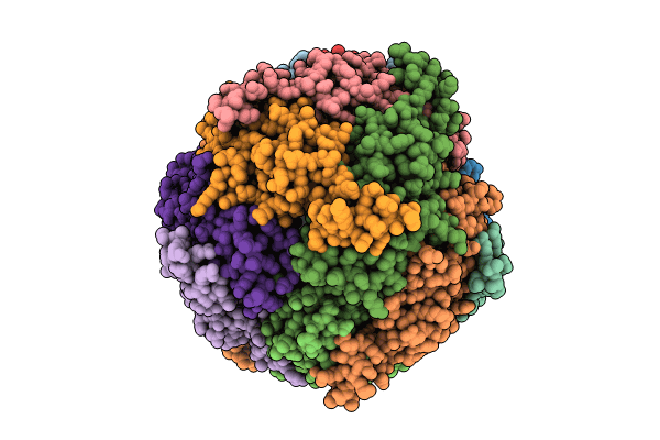 8W1E image