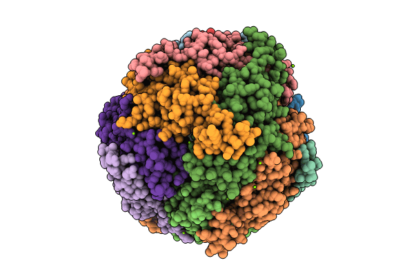 8W1F image