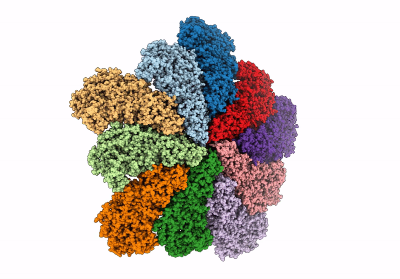 8W1I image
