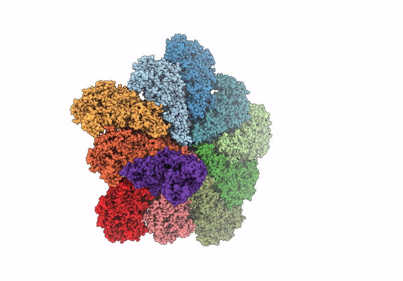 8W1O image
