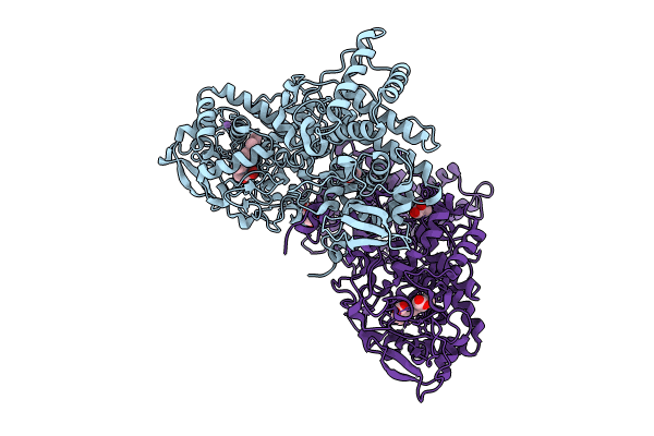 8W1X image