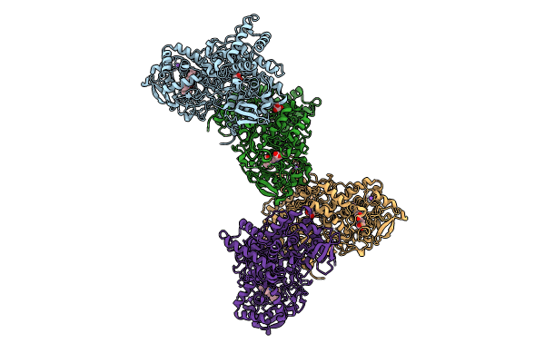 8W1Y image