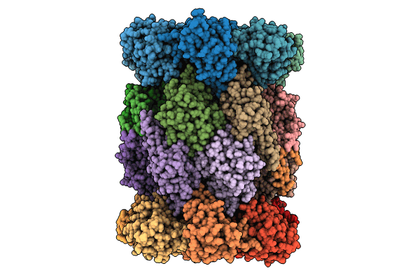 8W2F image