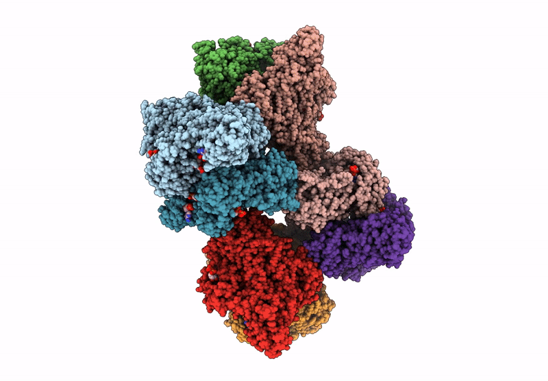 8W2I image
