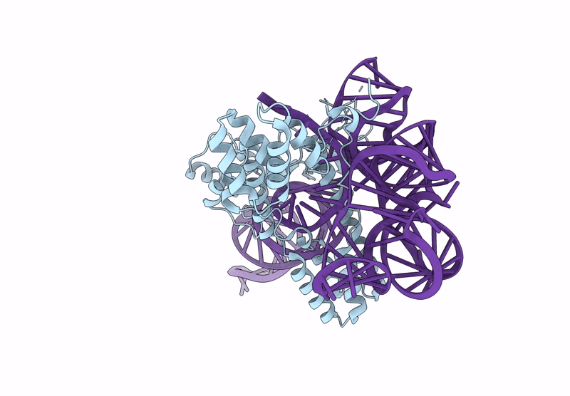 8W2S image