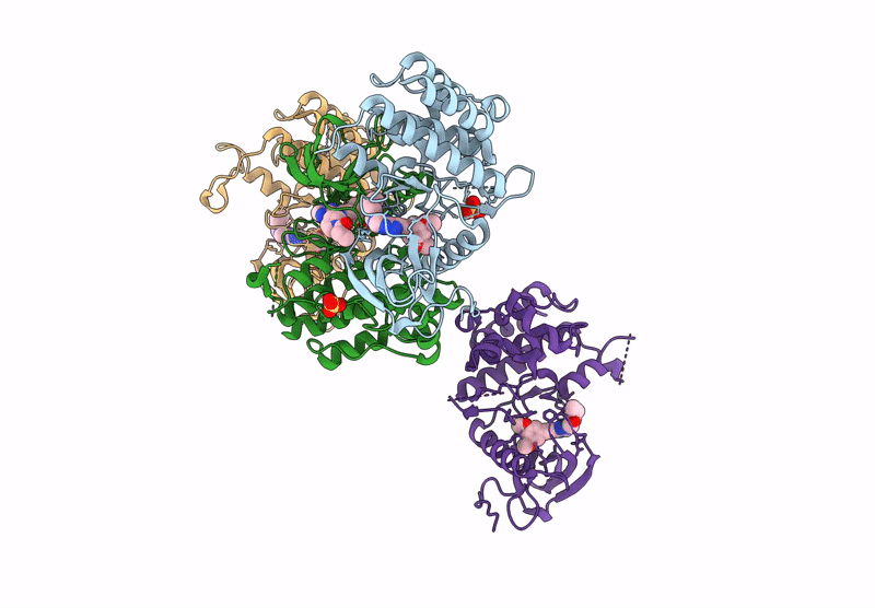 8W3B image