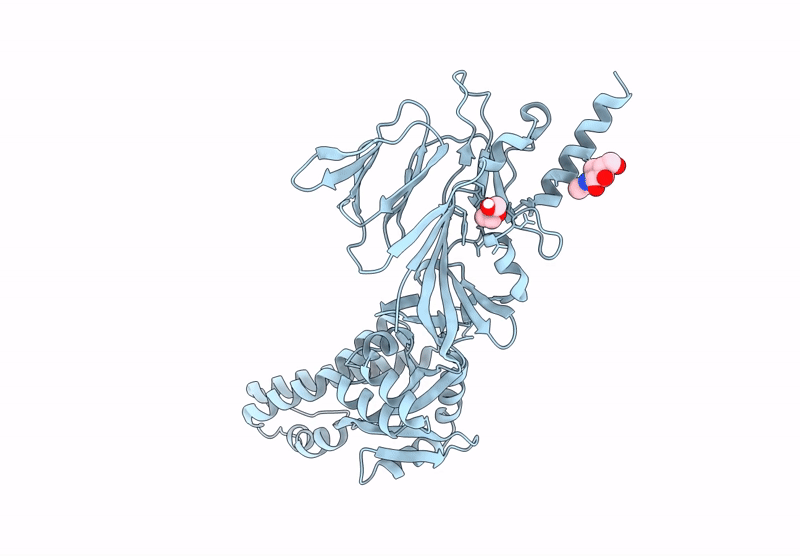 8W3I image