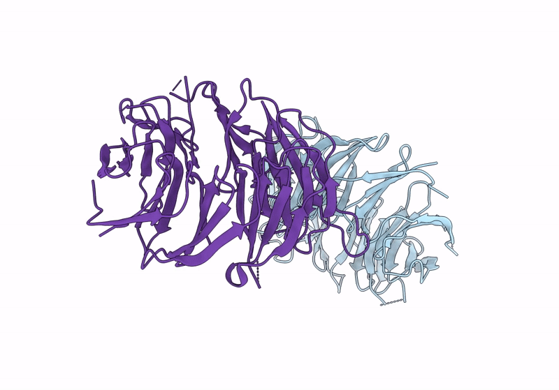 8W3V image