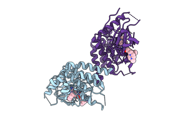 8W5C image