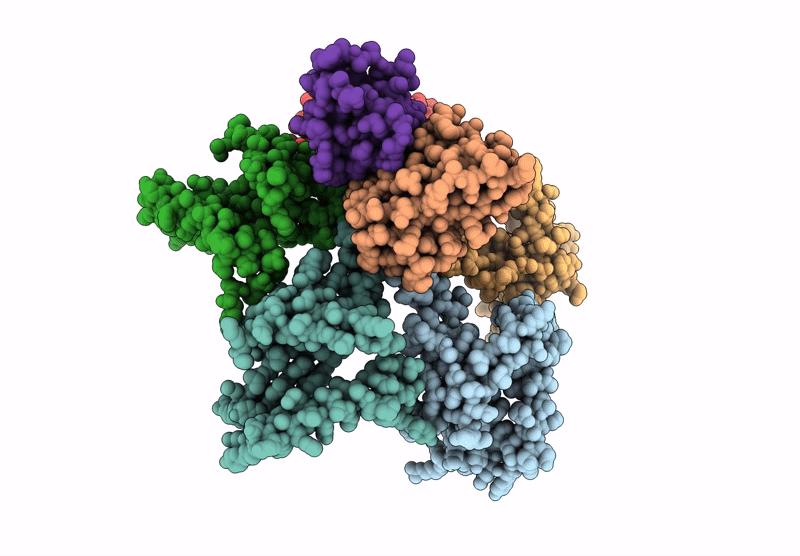 8W5I image