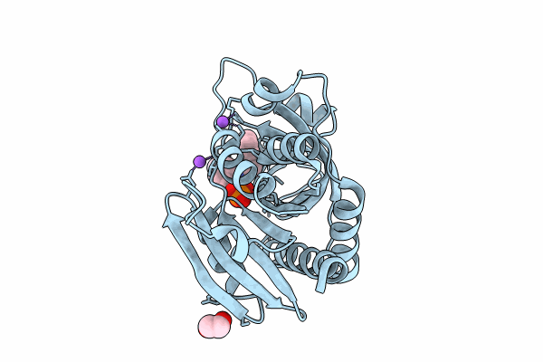 8W7H image