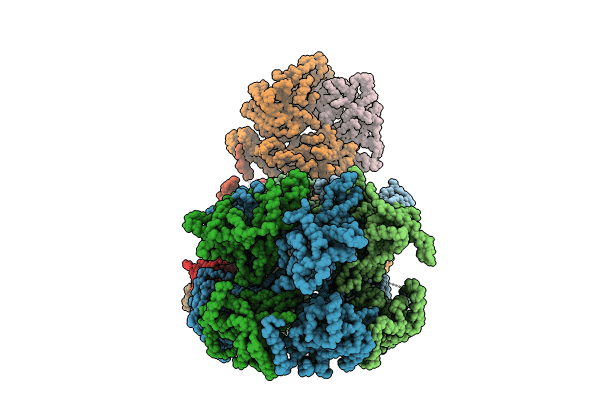 8W7S image