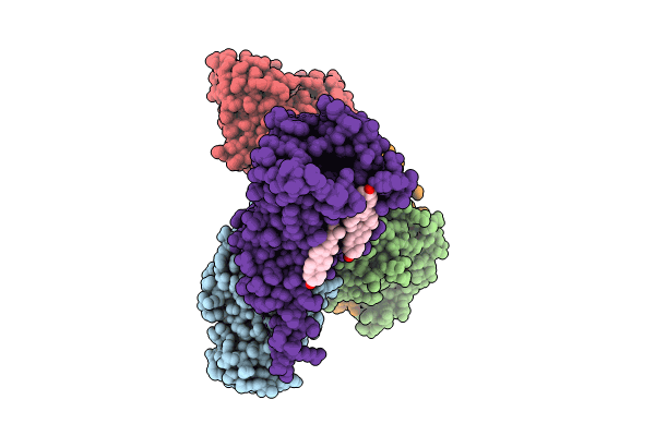 8W8B image