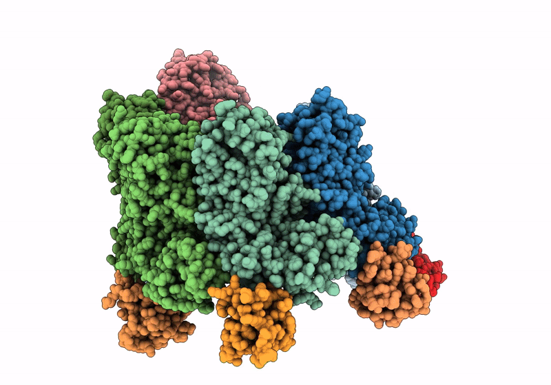 8W8D image