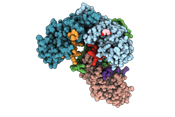 8W8G image