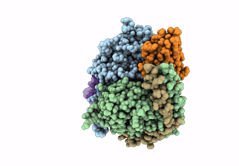 8W8X image