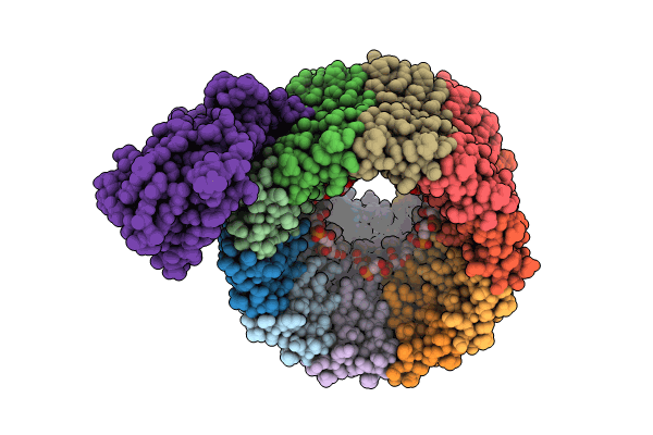 8WCI image