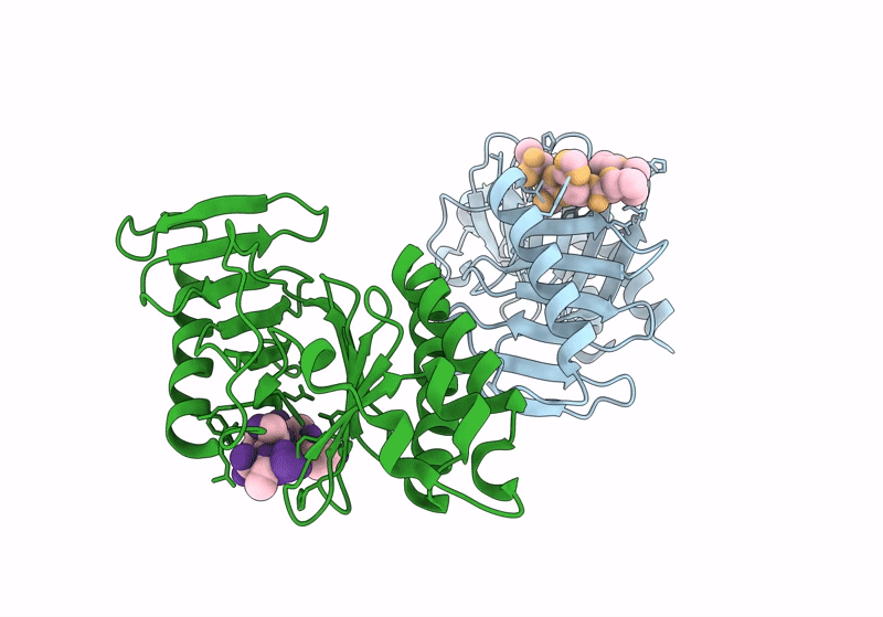 8WFP image