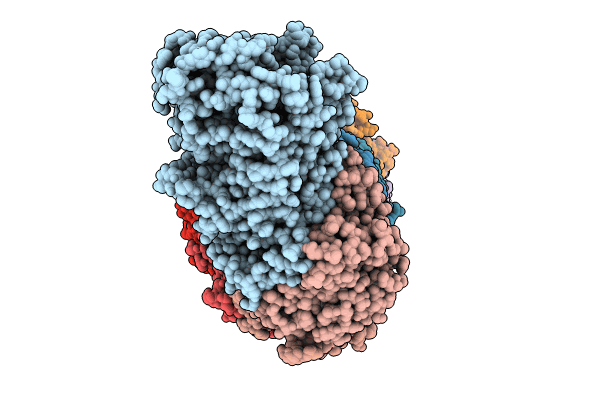 8WFX image