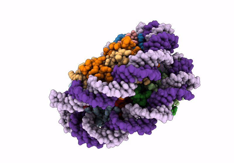 8WHB image