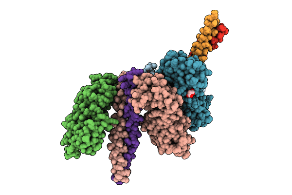 8WHL image