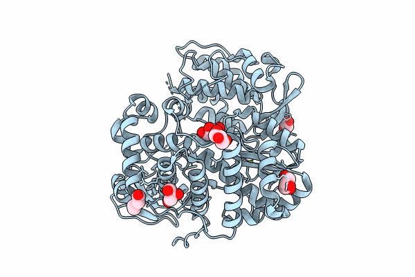 8WIM image