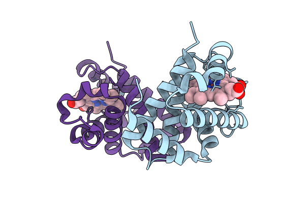 8WJ2 image
