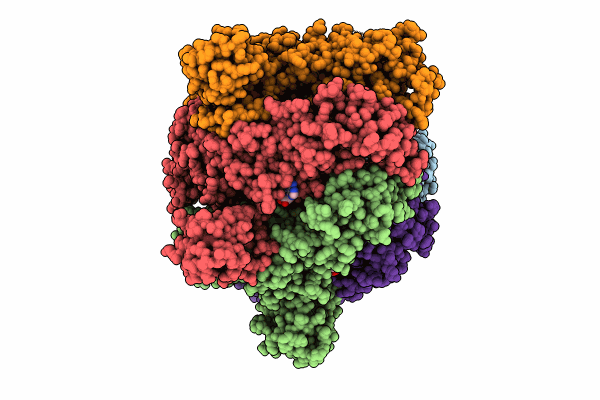 8WJ3 image