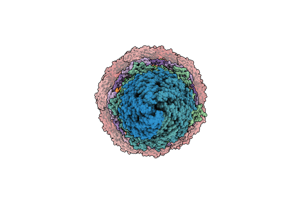 8WKK image