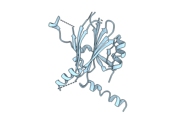 8WLG image