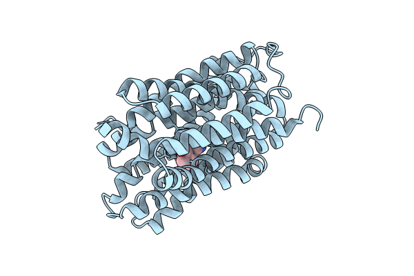 8WLM image
