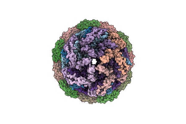 8WLP image