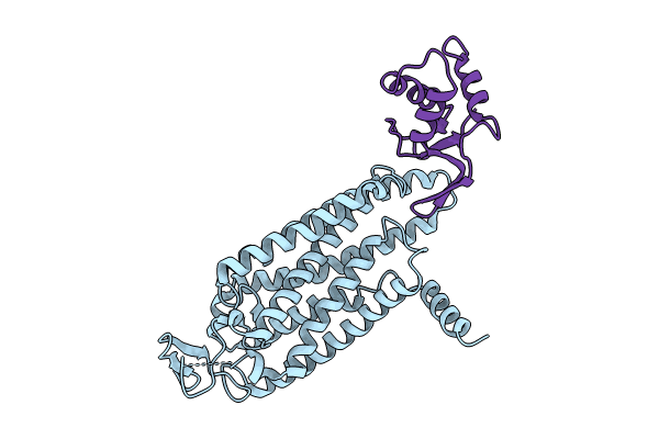 8WMA image