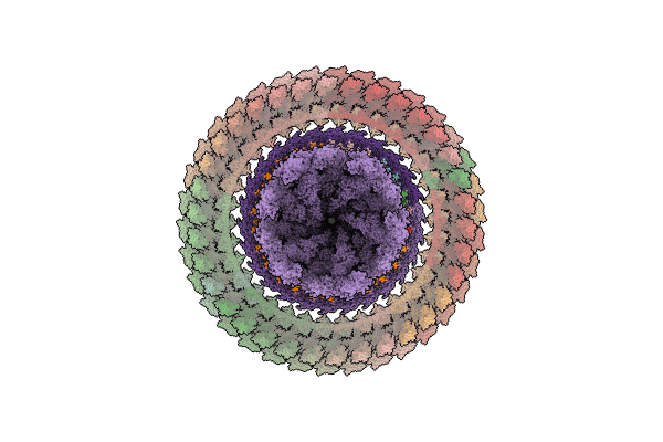 8WOE image