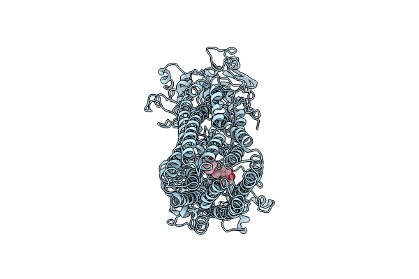 8WOM image