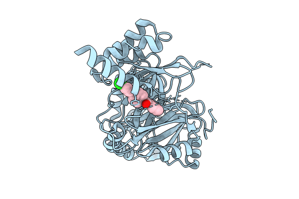 8WQM image