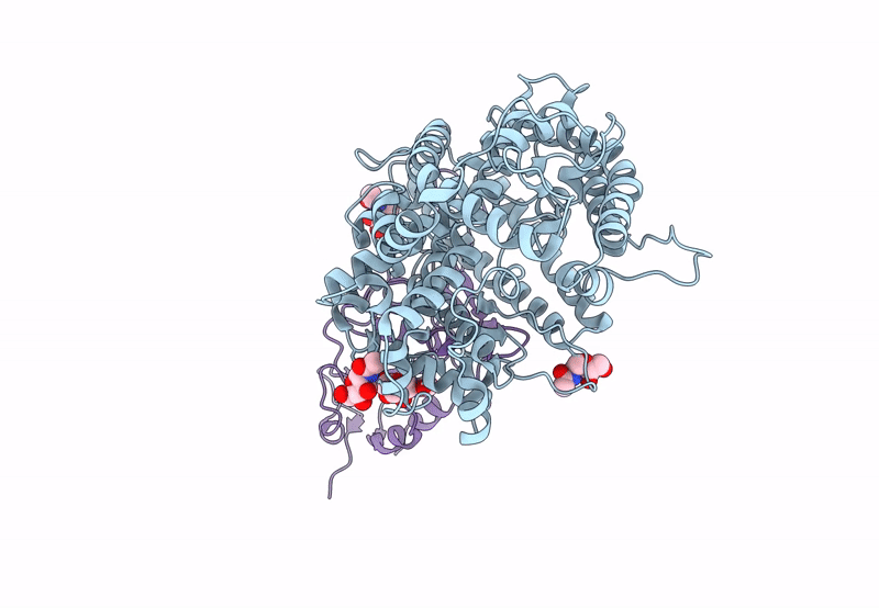 8WRH image