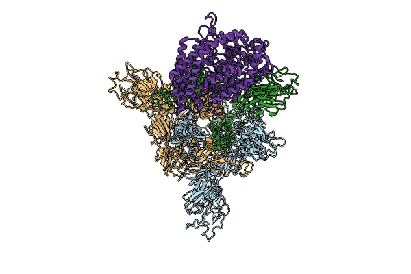 8WRO image