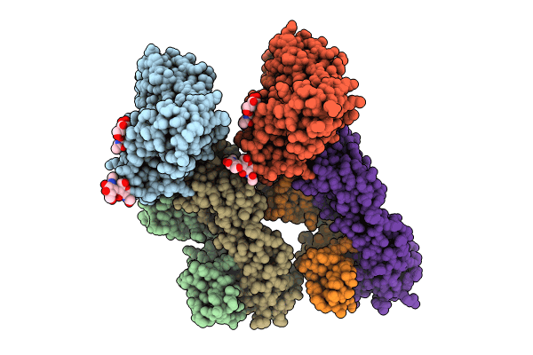 8WSP image