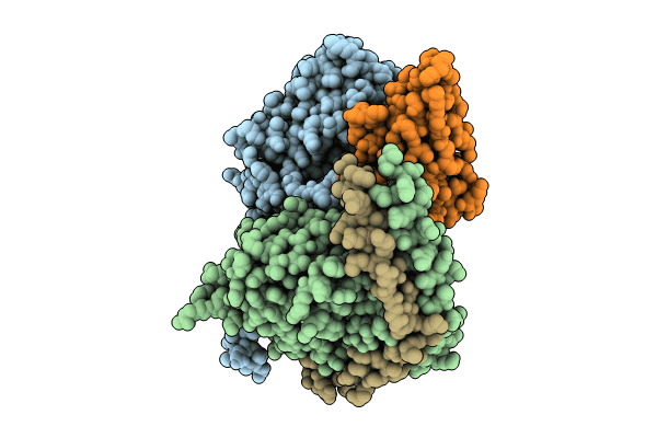 8WST image
